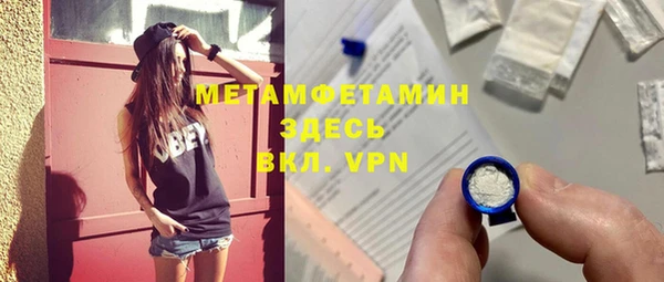 индика Елизово