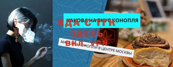 индика Елизово