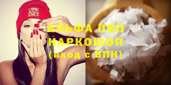 apvp Ельня