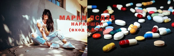 индика Елизово