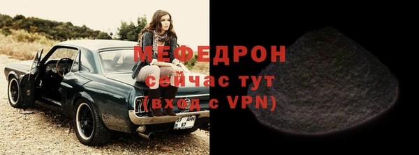 индика Елизово