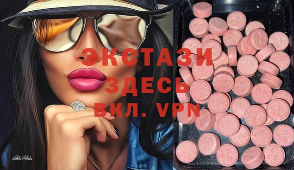 apvp Ельня
