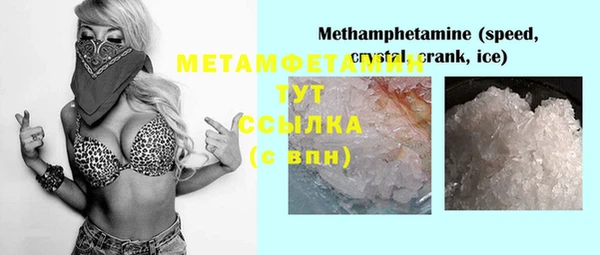 индика Елизово