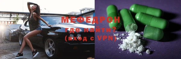 индика Елизово