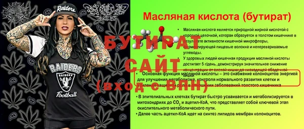 индика Елизово