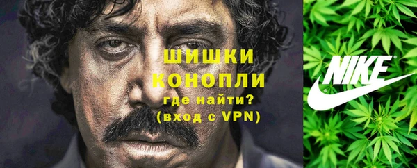 индика Елизово