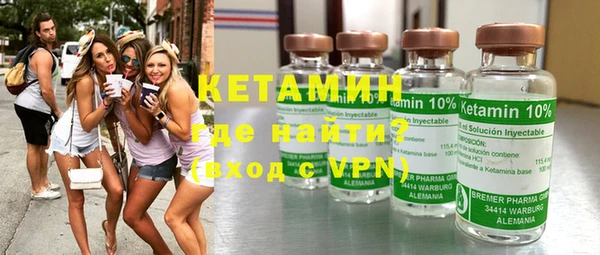 индика Елизово