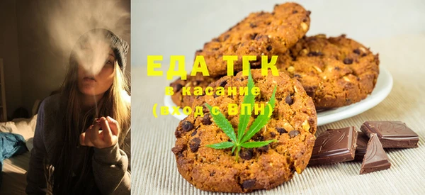 индика Елизово