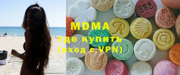индика Елизово