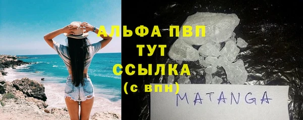 индика Елизово