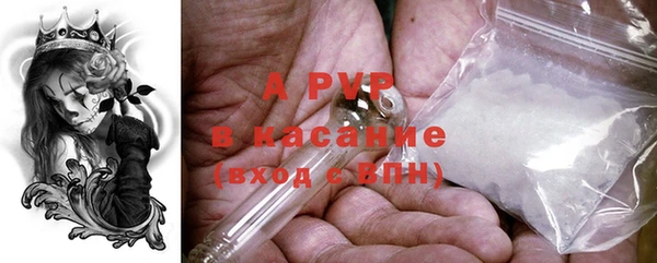 индика Елизово