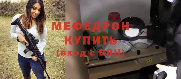 индика Елизово