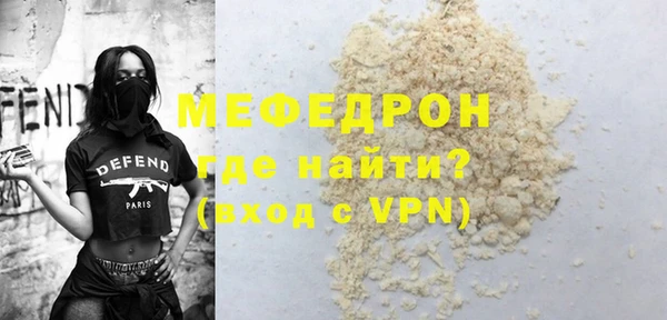 индика Елизово