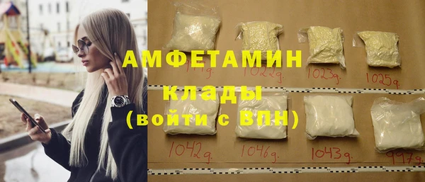 apvp Ельня