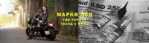 индика Елизово