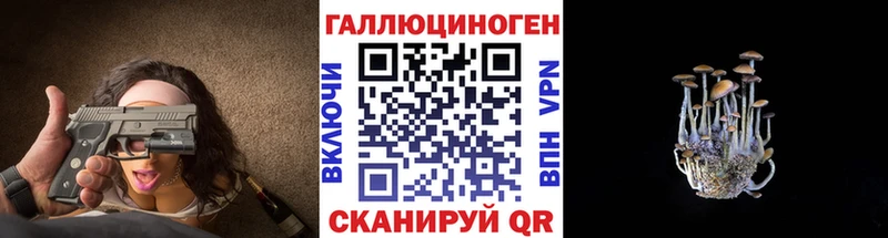 Купить Серов Псилоцибиновые грибы мицелий